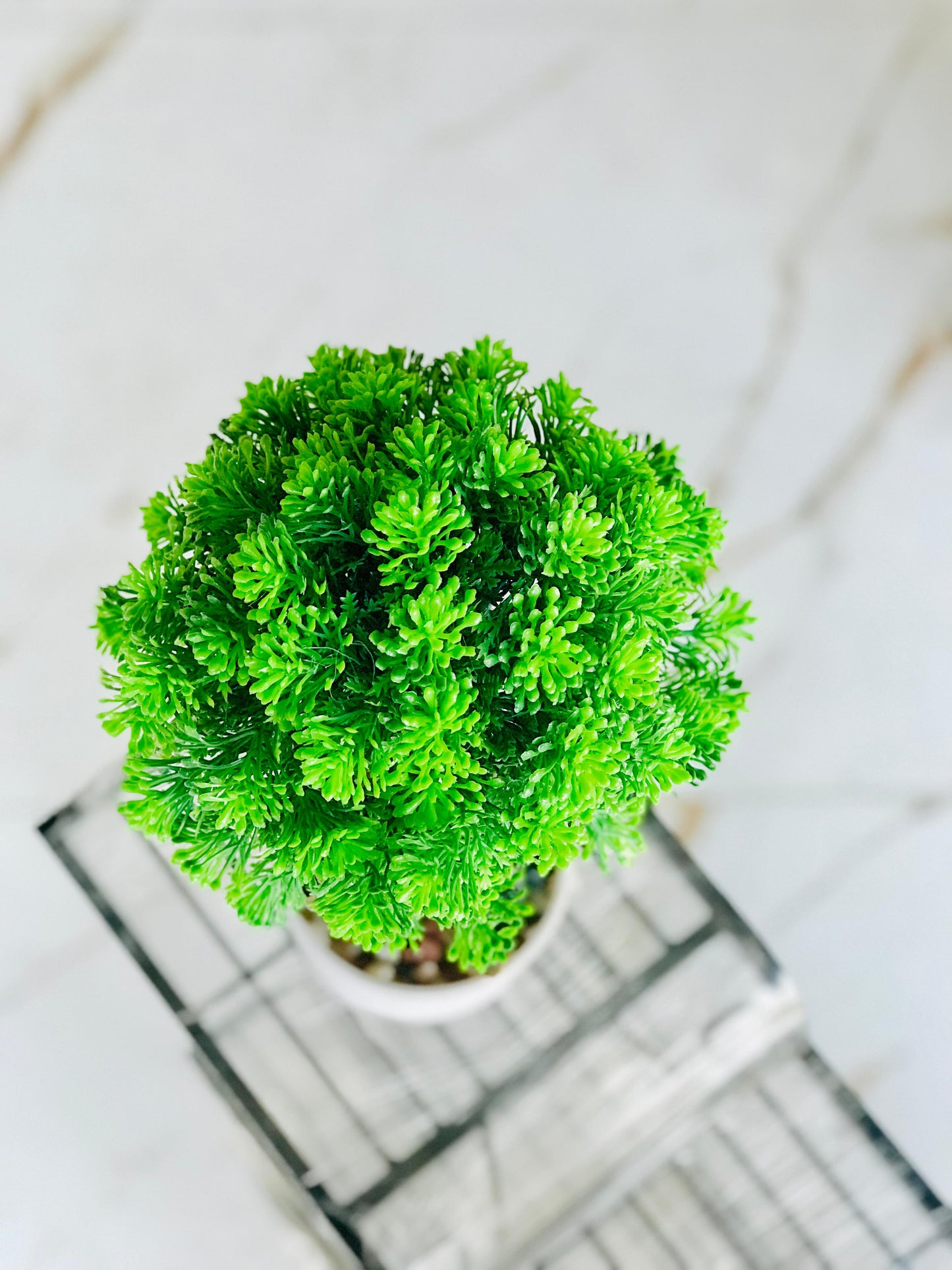 Mini vibrant tree